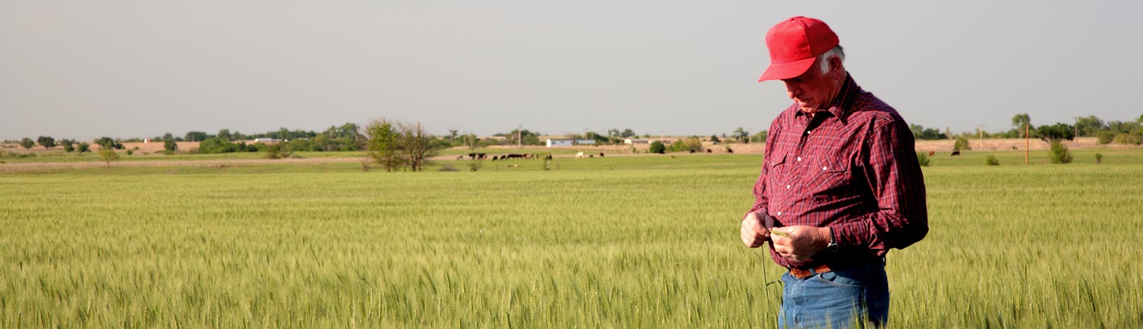 Nebraska farmer checking crops
