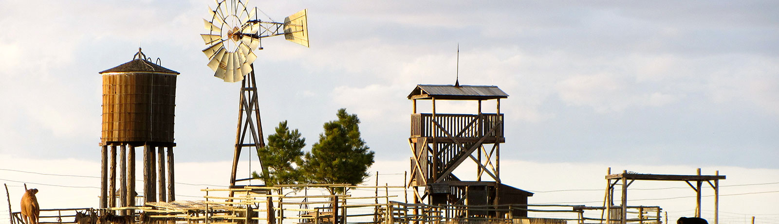 Nebraska farm with windmill
